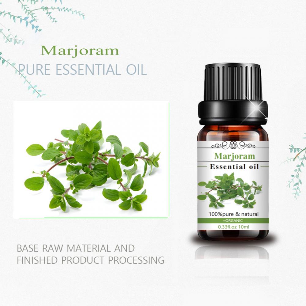 Aceite de marjoram natural 100 % puro para dolor en los músculos