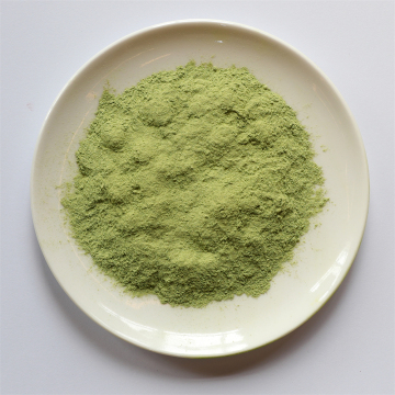freezed powder healty broccoli broccoli powder