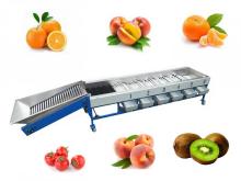 Fruits Vegetables Sizes Sorting Machine