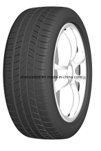Car Tyre/Tire RH65
