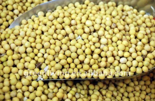 Soya bean,yellow bean from China