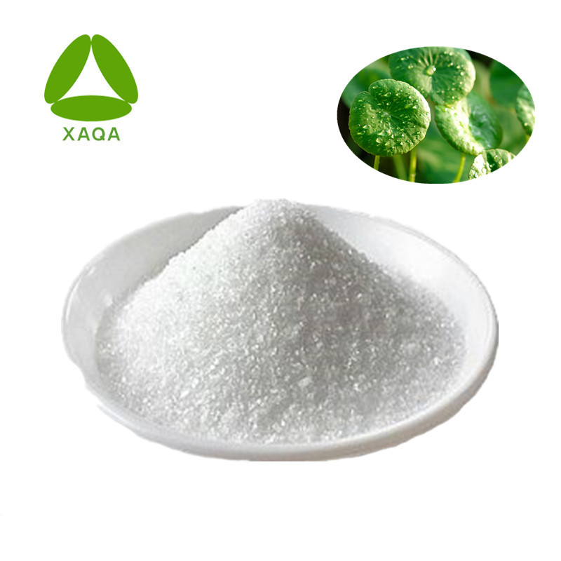 Gotu Kola Extract