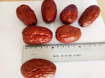 High Quality Sweet Jujube Chinese Dried Red Dates