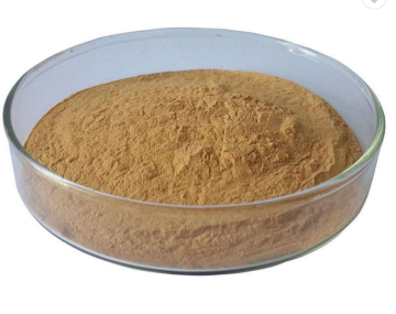 Green Tea Extract powder Catechins/ L-Theanine/ Polyphenol