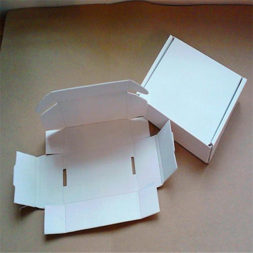 Stone Sample Paper Showing Box