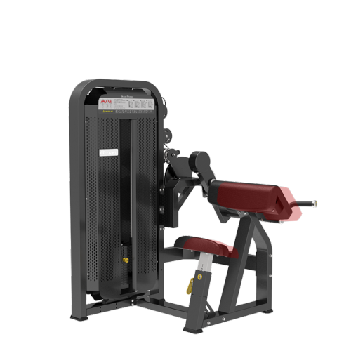 Commercial Gym Seated Biceps/Triceps Curl 2 in 1