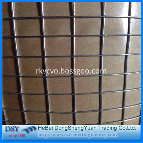 Welded Wire Mesh