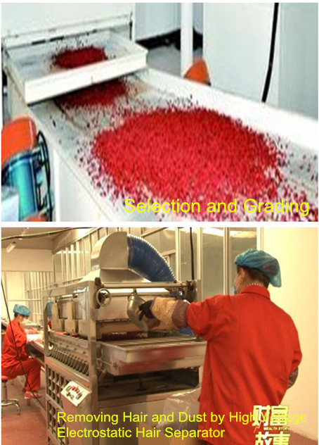 Goji berry grading