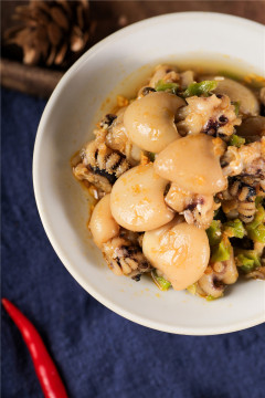 the pepper baby cuttlefish