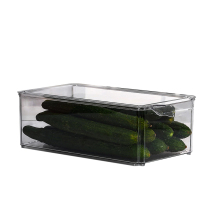 Refrigerator Food Storage Box with Handles