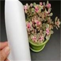 polyester PET rigid sheet roll