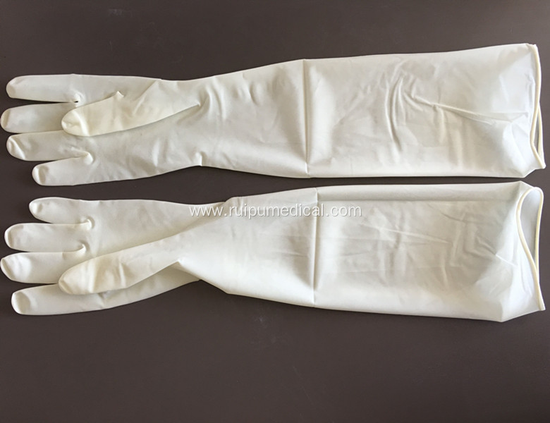 Medical Sterile Latex Disposable Gynaecological Gloves