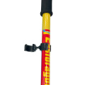 Quick Lock Non Slip Trekking Pole Walking Sticks