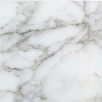 Snow Flower White/Marble Tiles