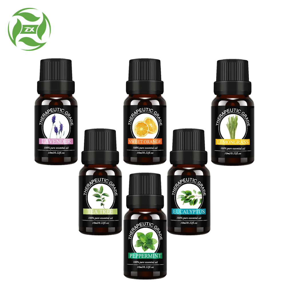 Aromatherapy Diffusor ätherisches Öl 6 * 10ml Set