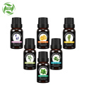 Aromatherapy diffuser essential oil 6*10ml set
