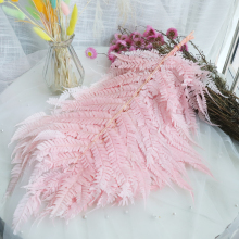 Real Eternal Life Fern Leaf Fiddlehead Decorations for Daily Ornamentation