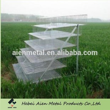 commercial quail cages