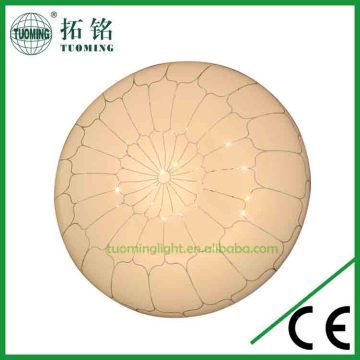 new style resident surface mounted led ceiling light