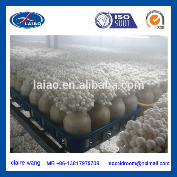 mushroom grow chiller 100m2