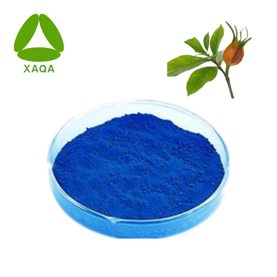 Gardenia Blue Powder