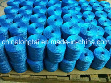 Hot Sale of PP Rope in Americal&Europen