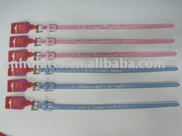 pet collar & leash