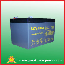 14ah 12V Deep Cycle Battery