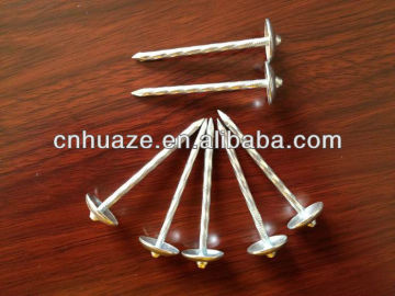 roofing nails 2.5" BWG9 package