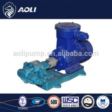 Good quality Ex-proof Motor Gear Oil Pump