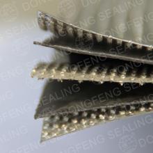 Graphite compounded sheet with tanged S.S304/316L insert