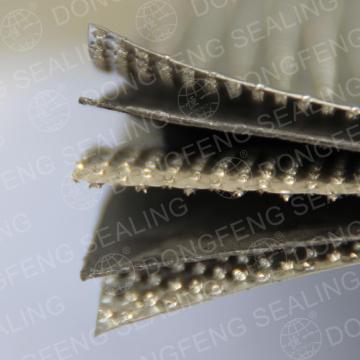 Graphite compounded sheet with tanged S.S304/316L insert