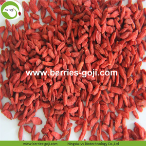 Factory Supply Fruits Package Small Size Goji Berry