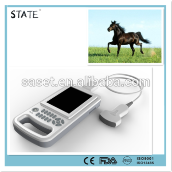fashion model horse pregnancy ultrasound for wholesales
