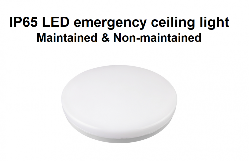 IP65 LED bulkhead ceiling emergency