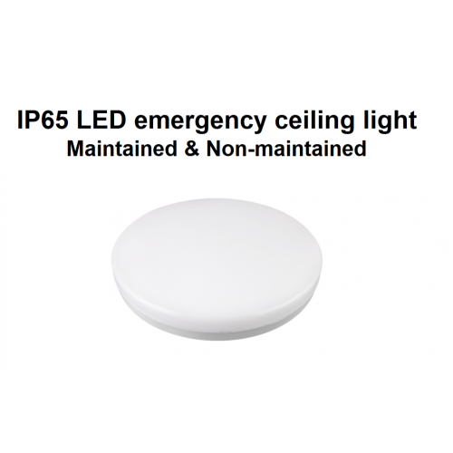 IP65 LED de emergência de teto de antepara