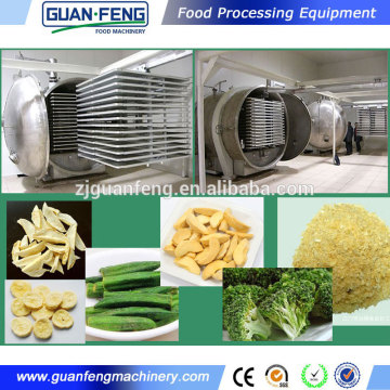 Food Lyophilizer For FD Products Dried Mango Processing Machine