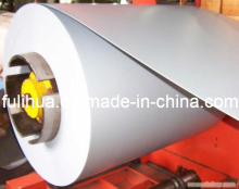 Prepainted Galvanize Sheet in Coil