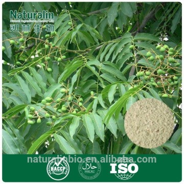 Natural Sapindus Mukurossi Gaertn(Soapnuts) Soap nut Extract