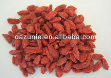 Goji berry New Crop