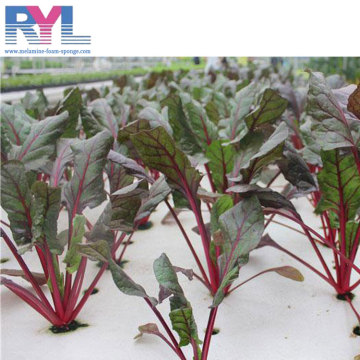 low price save water/moisture retain soilless culture foam