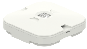 ECSL All in one suface mounted Spotlight