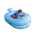 Piscina inflable de la piscina inflable