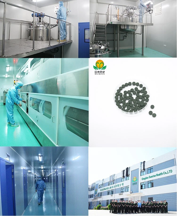 OEM Private Label Conventional Chlorella Tablet