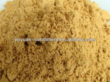 Chinese Ginger Powder Spice