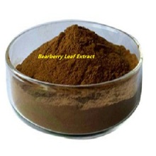 Factory price arctostaphylos Bearberry Leaf Extract powder