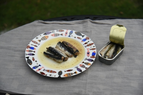 170G konserverad sardinfilé i sojabönolja Europa