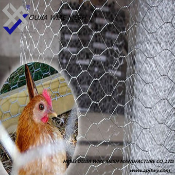 hexagonal chicken wire mesh made in China