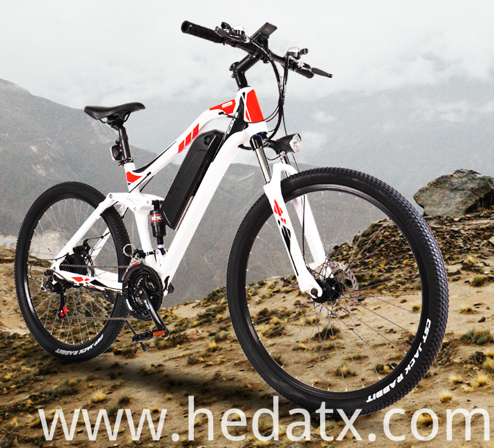 इलेक्ट्रिक माउंटेन बाइक का उदय The Rise of Electric Mountain Bikes