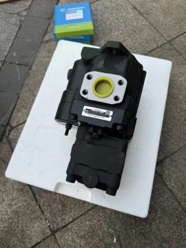 NBF Yuexiao Pump PVD-1B-32